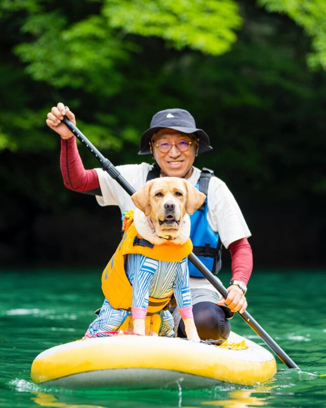 キアラさん♡

　
　
　　
少しづつ暑くなってきて

　
　
　
そろそろ水遊びを始めている子も見かけます🥰

　
　
　
待ち遠しい SUPシーズン❣️

　
　
SUPの浮遊感と

　
　
　
シンっとした中で

　
　
聞こえる笑い声と鳥の鳴く声

　
　
パドルを漕いだ時の水の音

　
　
　
思い出すだけでも最高に幸せな気持ちになる🥰

　
　
　
スノーシューでも会えたキアラさんは

　
　
　
去年のSUPで初めてお会いしました❤️

　
　
キアラさんのむにゅうっとしたお顔が

　
　
堪らなく可愛い😍❤️❤️❤️

　
　
飛び込んだり、ボードの上でまったりしたり

　
　
　
パパが落ちる所を冷静に見てたり🤣❤️

　
　
ブルブル💦トルネードのお顔も

　
　
うんちシーンのお顔も激写しちゃいました🫣ｺﾞﾒﾝ

　
　
終わった後のふきふきも

　
　
カメラ目線で可愛かった🥰❤️

　
　
とっても仲良しなご家族様でした😍

　
　
わくわく待ち遠しい SUPシーズン❣️

　
　
ありがとう♡

　

@nature_planet.jp 
SUP、カヤックツアー

那須板室ダム湖
　

ーーーーーーーーーーーーーーーー　
　

日本の四季を　　🌸🍉🍁⛄️
　

わんこと一緒に楽しみませんか！？
　

　
自然の中でわんこ達は
どんな表情になるだろう🤭❤️
　

laugh base（らーふべーす）は
　

ワハハと一緒に大笑いできる
居場所を作りたい❣️
　
そんな想いから名付けました✨

　

ワハハ🎶と笑い声が

聞こえてきそうな

お写真を通して
　
　
わんこと生きる
　　　「今この瞬間」の幸せを✨

実感していただきたいと
　

思っています😊